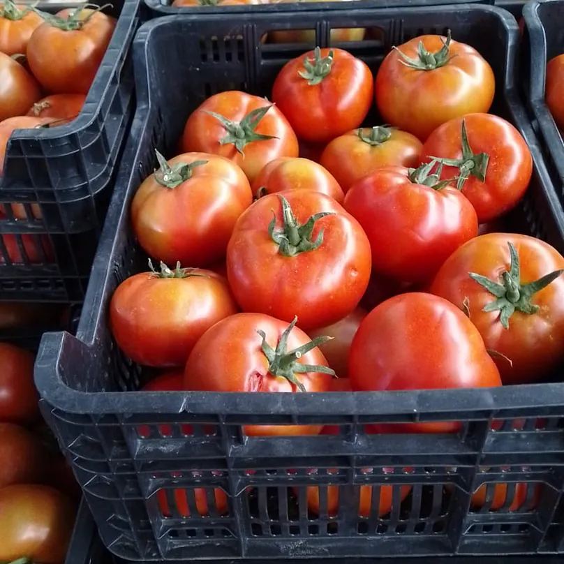 Verduras Jesús Martínez tomates