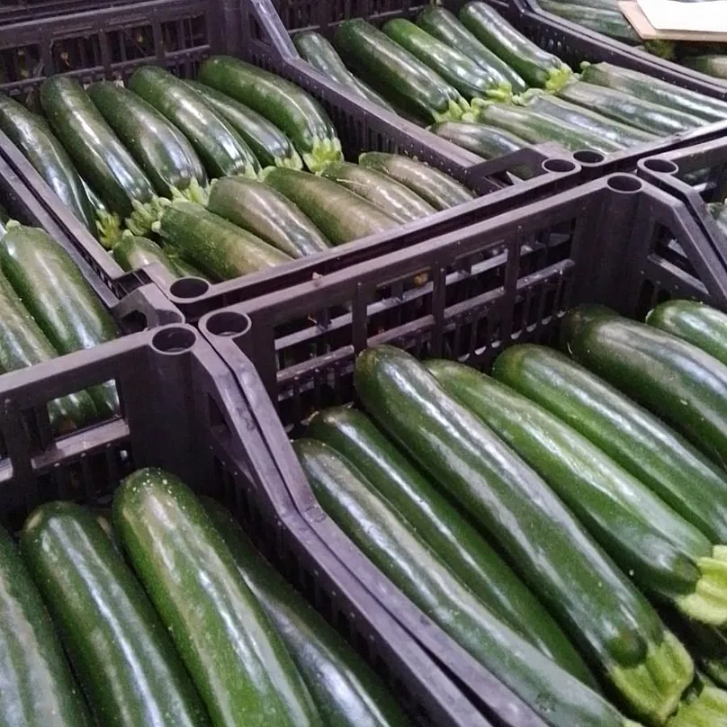 Verduras Jesús Martínez calabacines